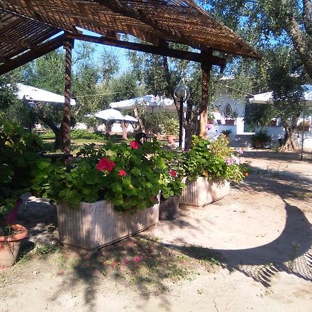 Casa Vacanza Fiorella Torre dell'Orso Eksteriør bilde