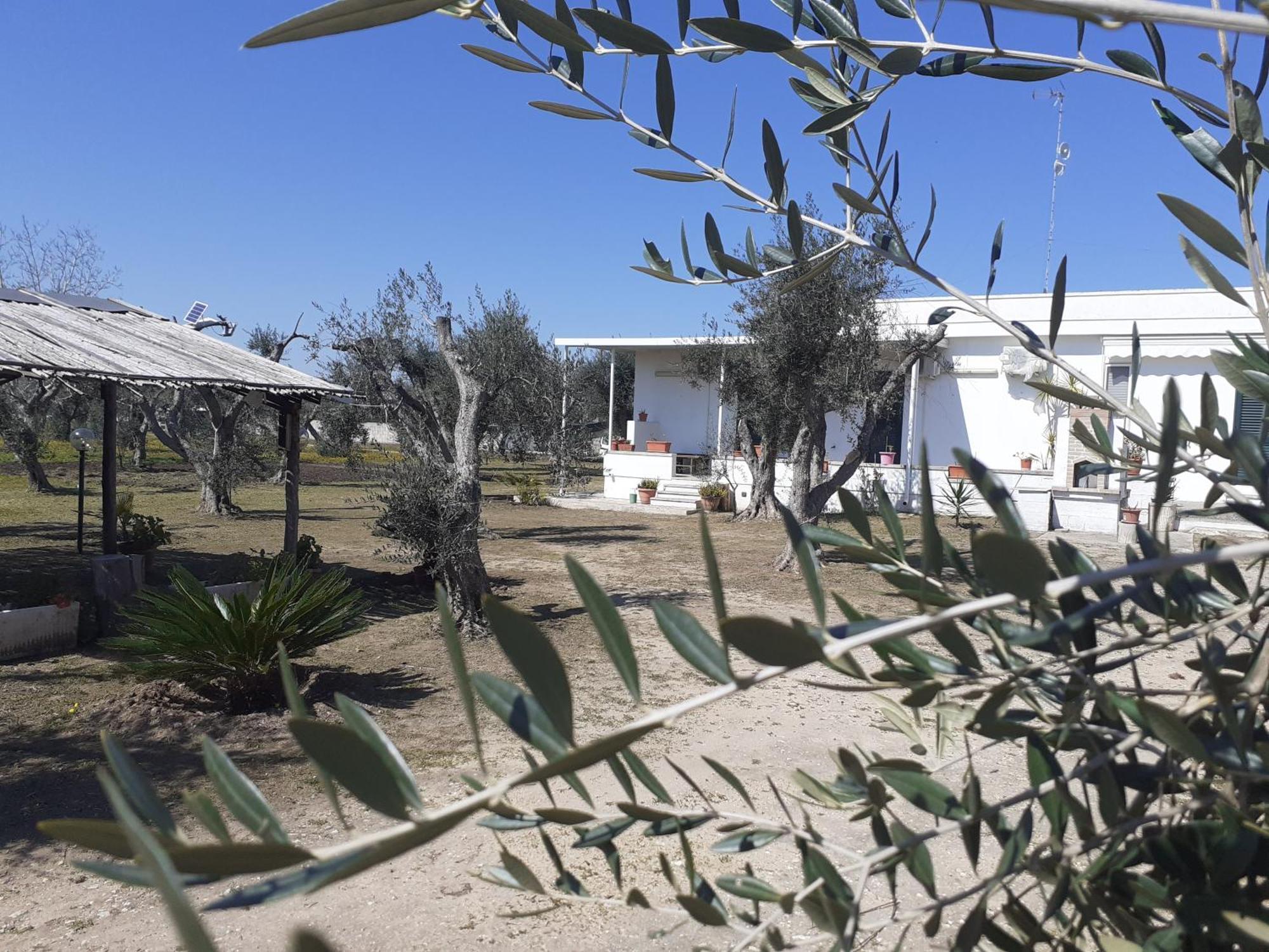 Casa Vacanza Fiorella Torre dell'Orso Rom bilde