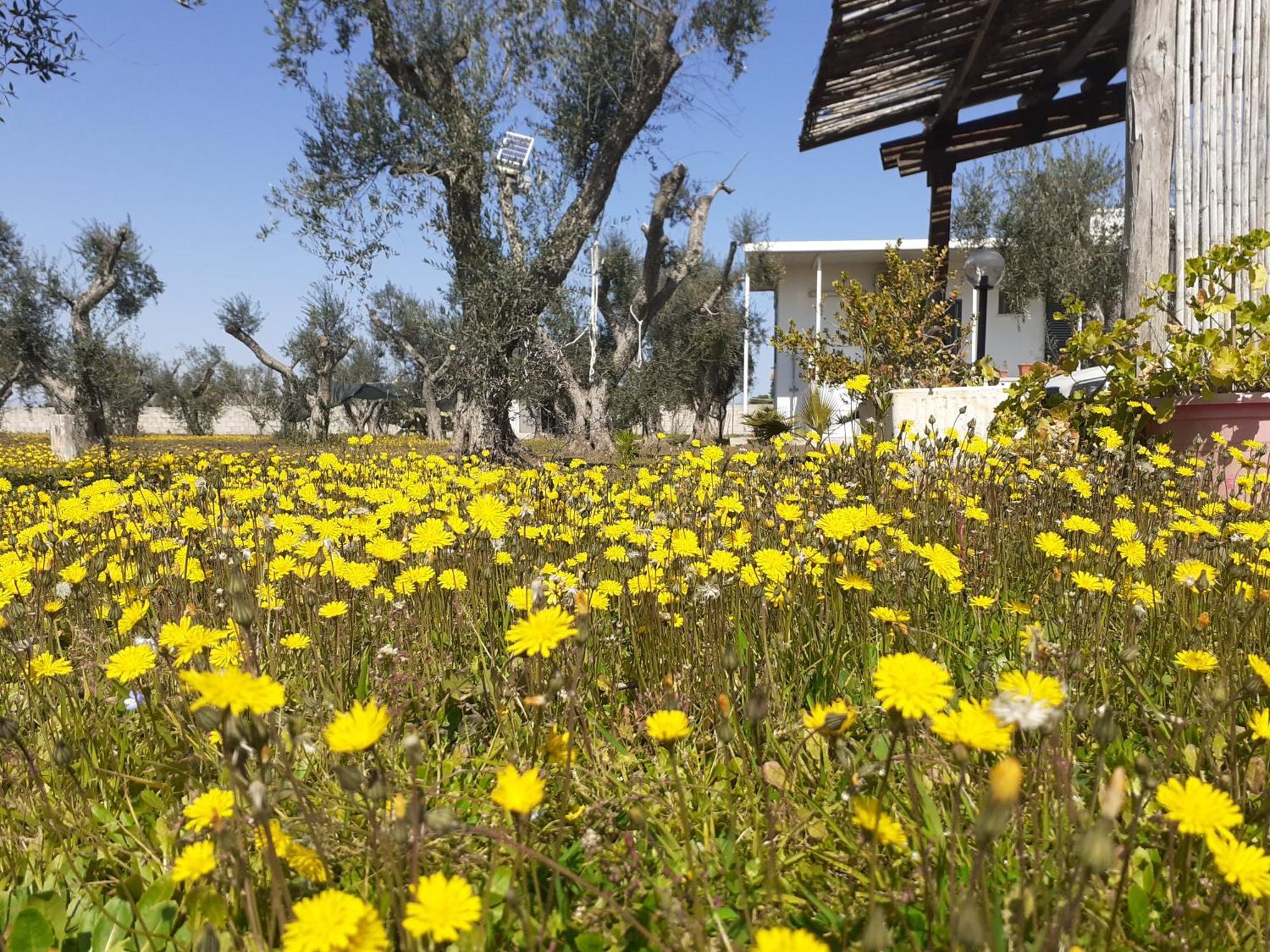 Casa Vacanza Fiorella Torre dell'Orso Rom bilde