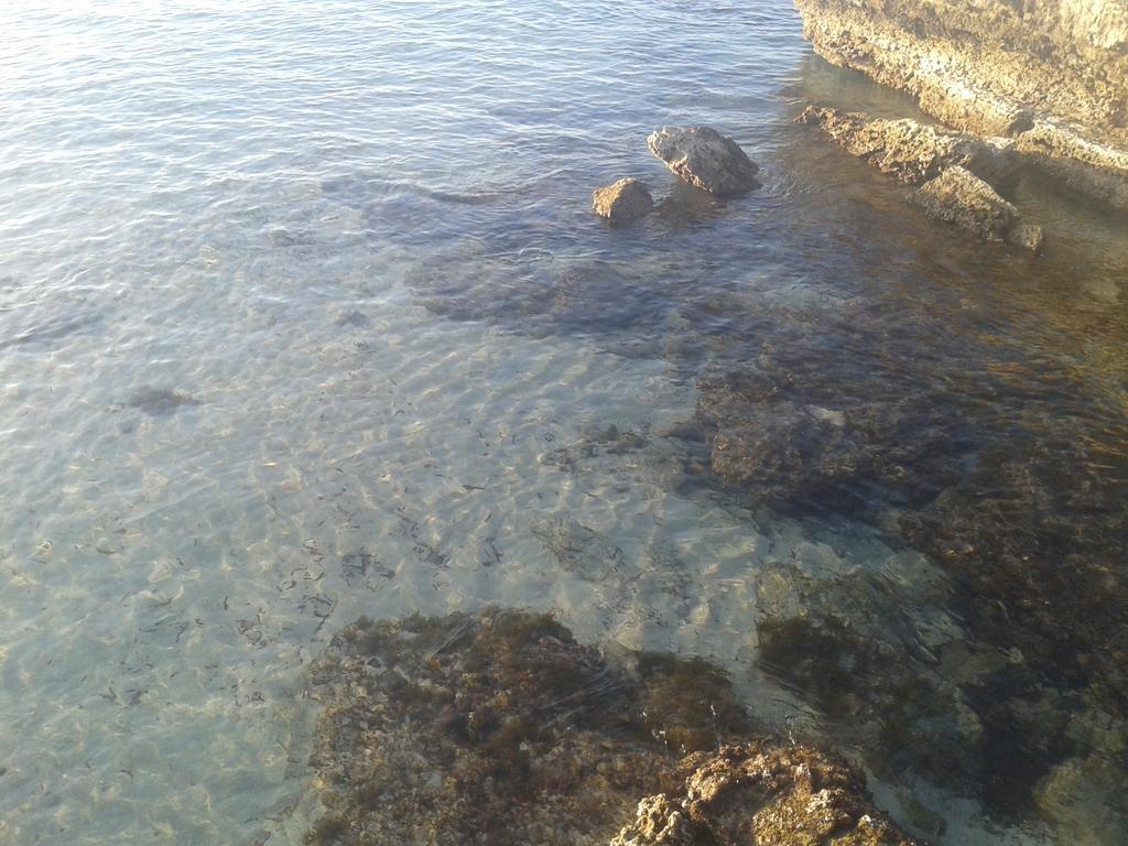 Casa Vacanza Fiorella Torre dell'Orso Eksteriør bilde