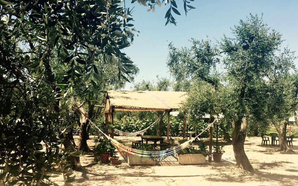 Casa Vacanza Fiorella Torre dell'Orso Eksteriør bilde