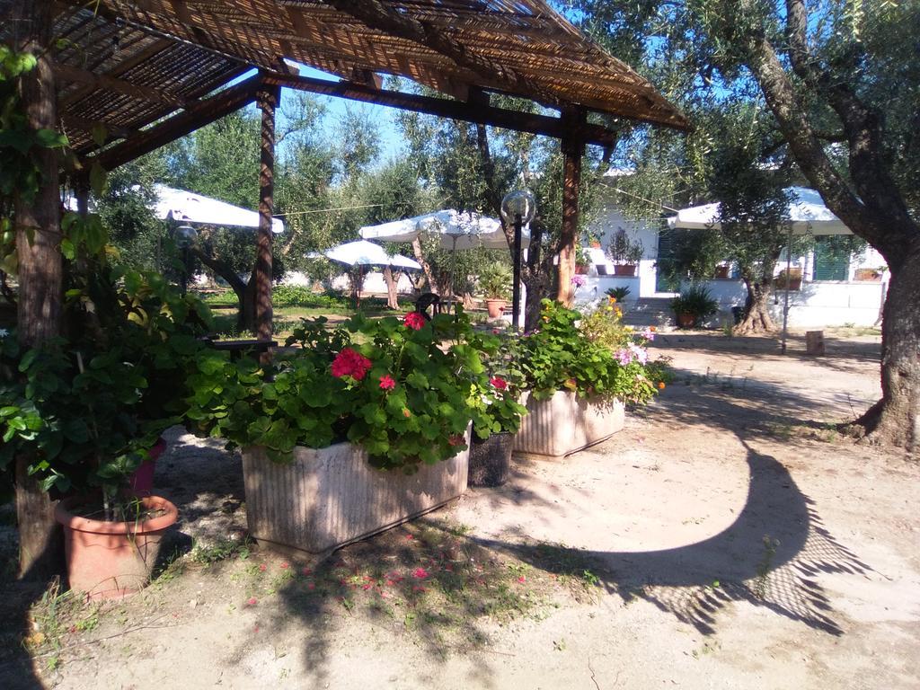 Casa Vacanza Fiorella Torre dell'Orso Eksteriør bilde