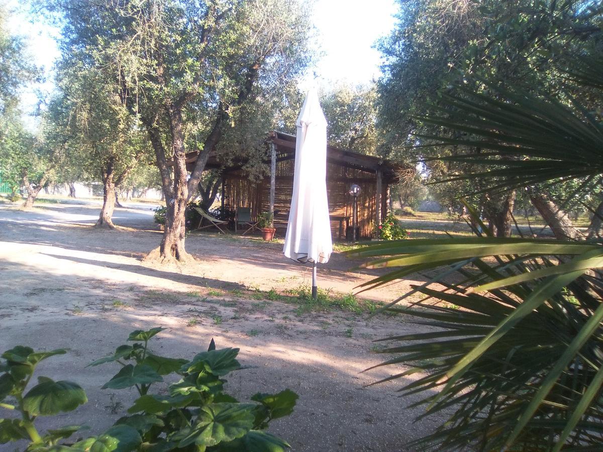 Casa Vacanza Fiorella Torre dell'Orso Eksteriør bilde